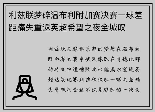 利兹联梦碎温布利附加赛决赛一球差距痛失重返英超希望之夜全城叹